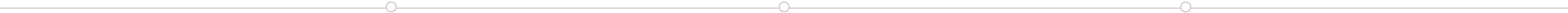 Section Divider